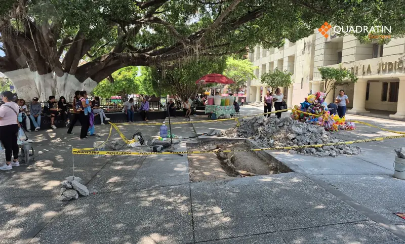 Retiran otra raíz de árbol que afectó paso desnivel en Chilpancingo