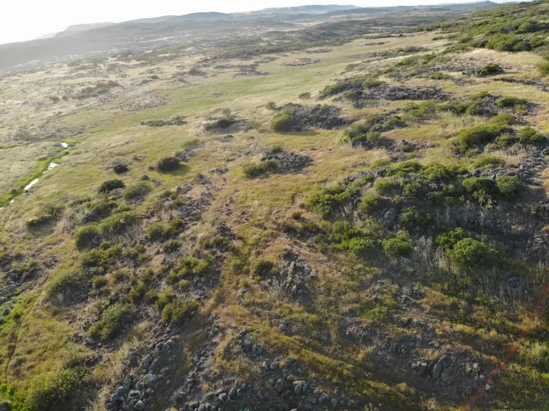 Preocupa impacto ambiental del Bypass Tijuana-Ensenada
