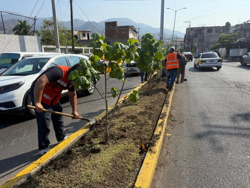 Mejora Gobierno de Acapulco áreas verdes en Pie de la Cuesta