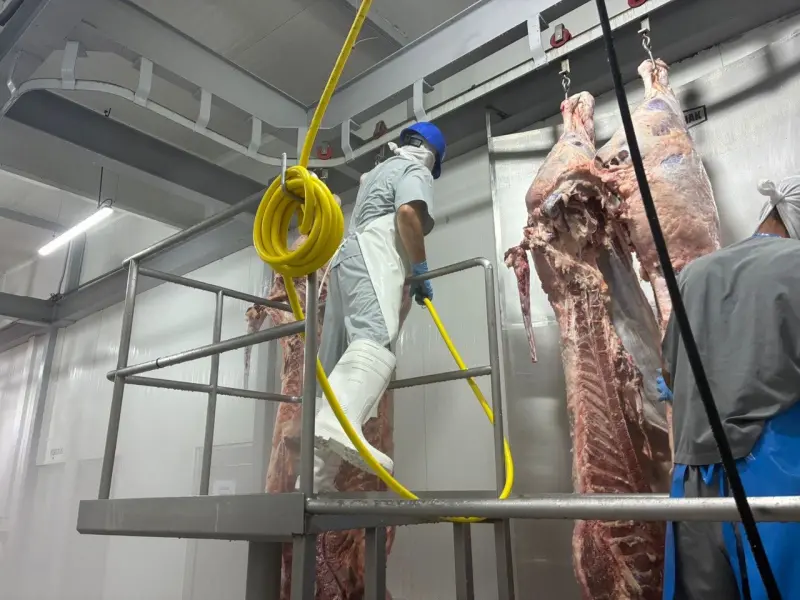 Proponen en Guadalajara reformar reglamento para regular el Rastro