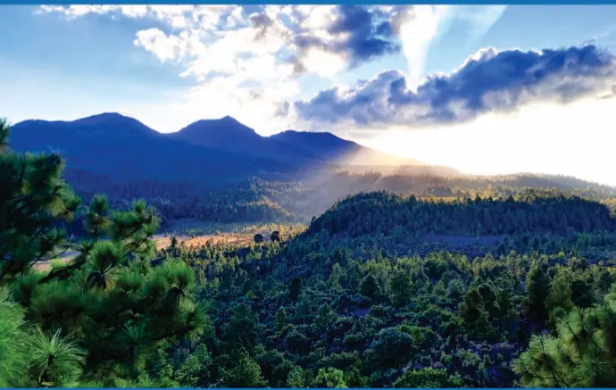 Morelia se convierte en el centro del análisis geográfico