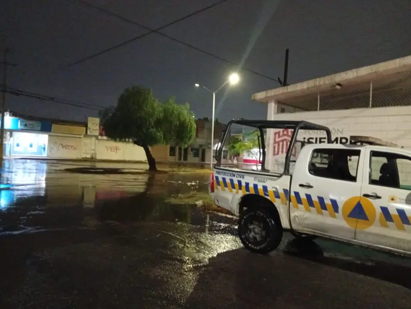 Lluvias dejan caída de 20 árboles y cables; Torreón mantiene operativo activo