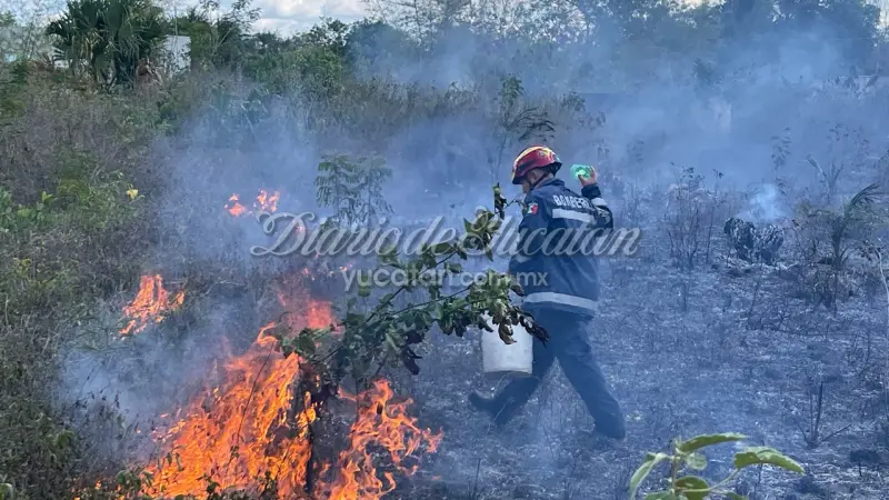 Incendio en terreno baldío moviliza a vecinos y bomberos en Tizimín