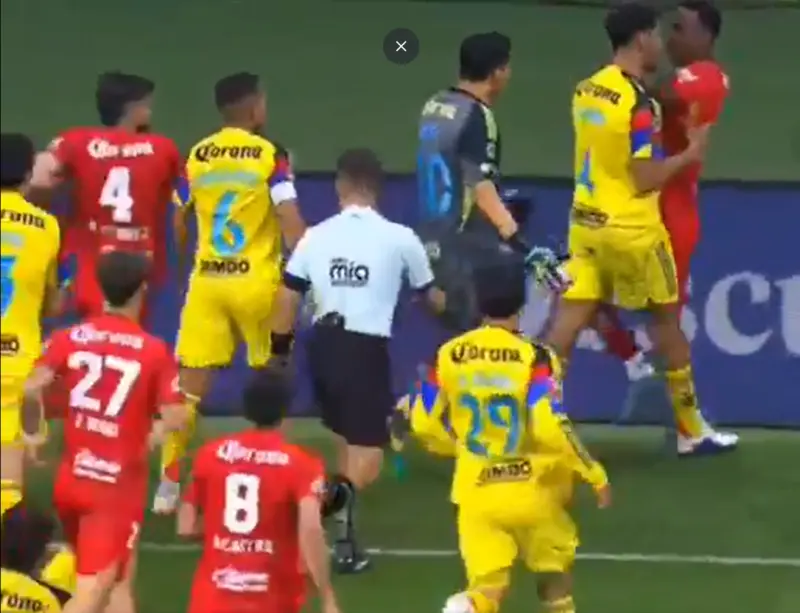 Difunden imágenes de la bronca suscitada tras el América-Toluca