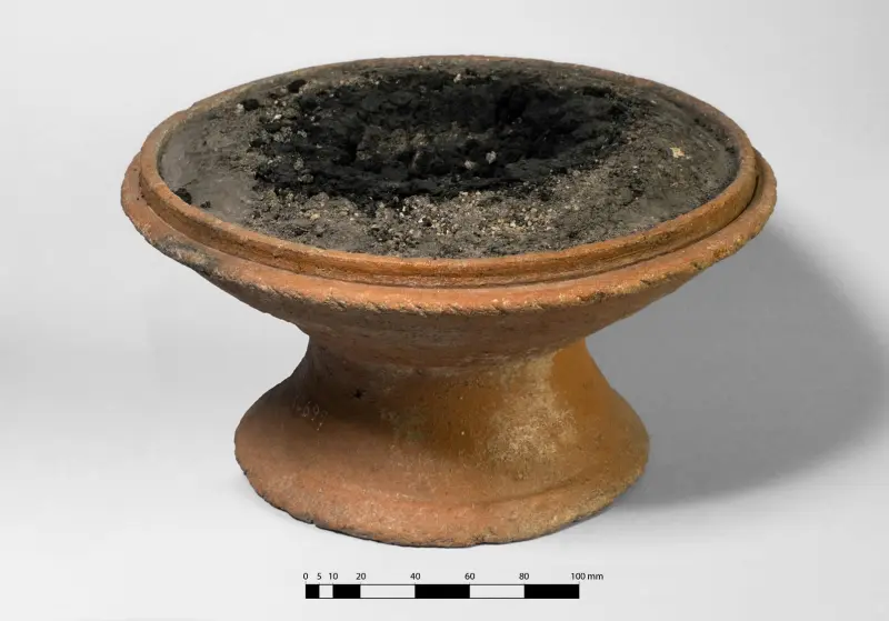 Habitantes de Pompeya utilizaban resinas de África y Asia en sus rituales domésticos
