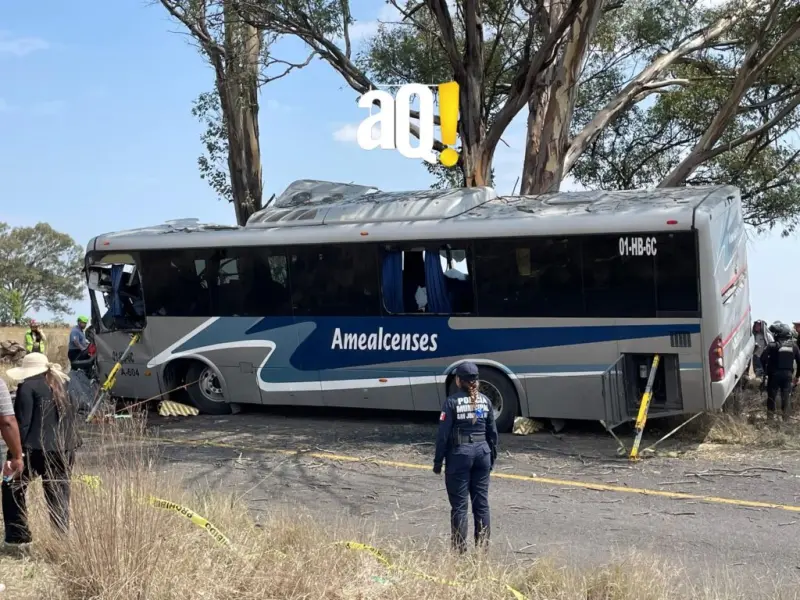 Por no darse a la fuga conductor de autobús Amealcenses llevara su proceso en libertad