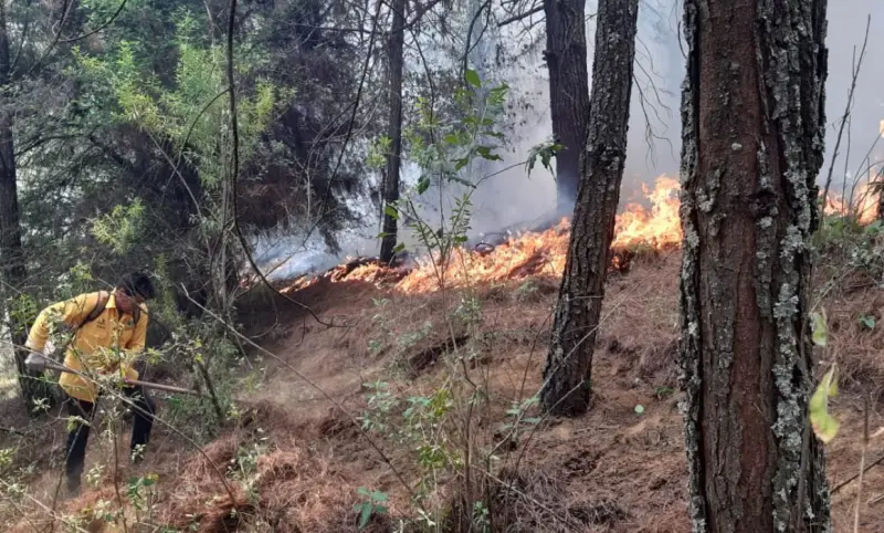 Matlapa, Tampacán y San Martín, en grave riesgo de incendios forestales