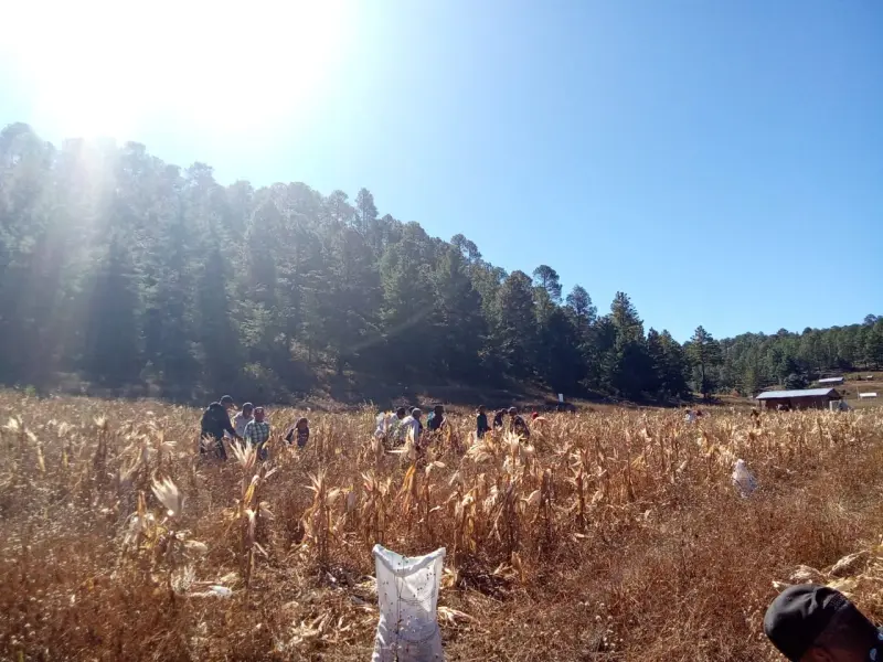 Productores descartan bloqueos y exigen soluciones para campo