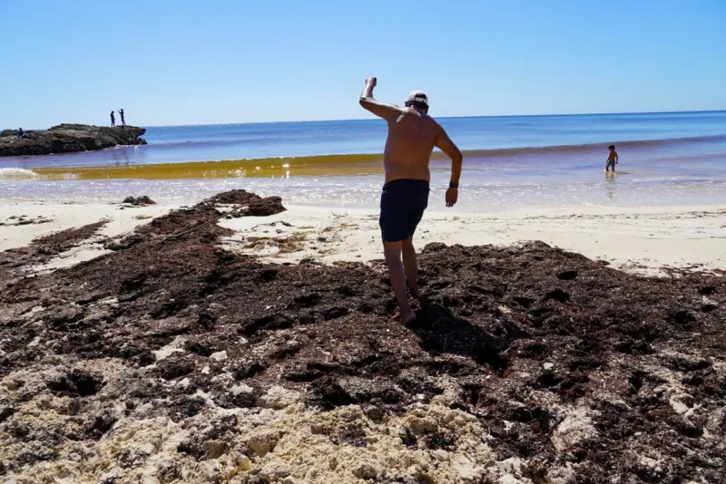 Clima en la Península de Yucatán: Cielo nublado, pero calor intenso el 26 de mayo