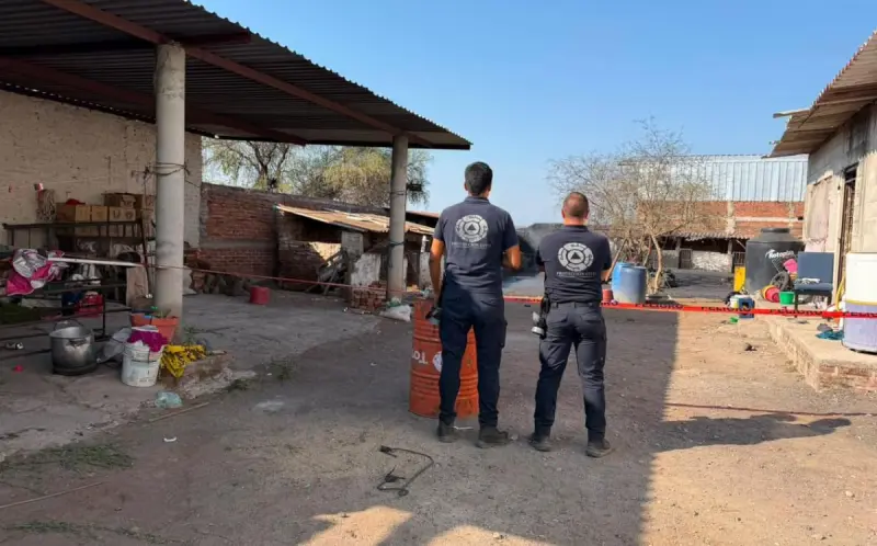 ¿Nació un volcán en Michoacán? Expertos de la UNAM revelan qué pasó realmente