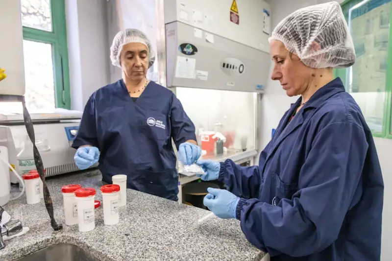 Argentina envía insumos a Europa y África para detectar hantavirus tras brote en crucero