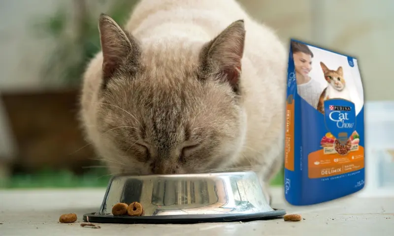 La Tienda Oficial de Purina aplica un 40% de descuento al bulto de croquetas Cat Chow de 15 kilos en Mercado Libre, bajando su precio a 644 pesos