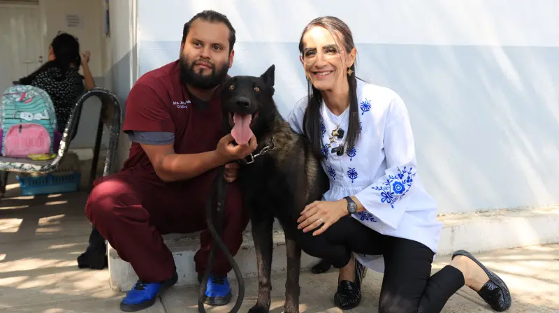 Rescatan a Capitán del maltrato; está bajo resguardo en Tlaquepaque