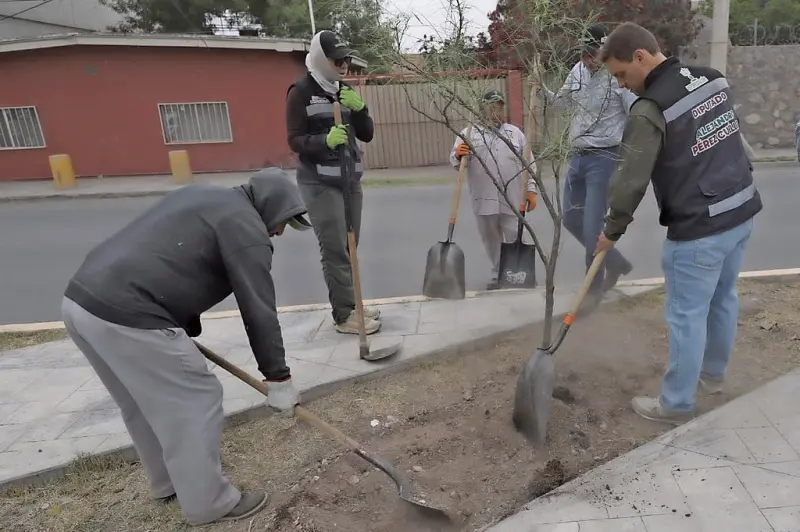 Realizan jornada de reforestación en avenida Hermanos Escobar