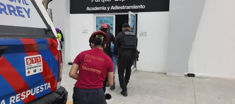 Ataque de abejas deja 8 personas lesionadas y 3 perros afectados en Monterrey