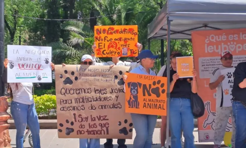 Marchan en SLP para exigir justicia por perros asesinados