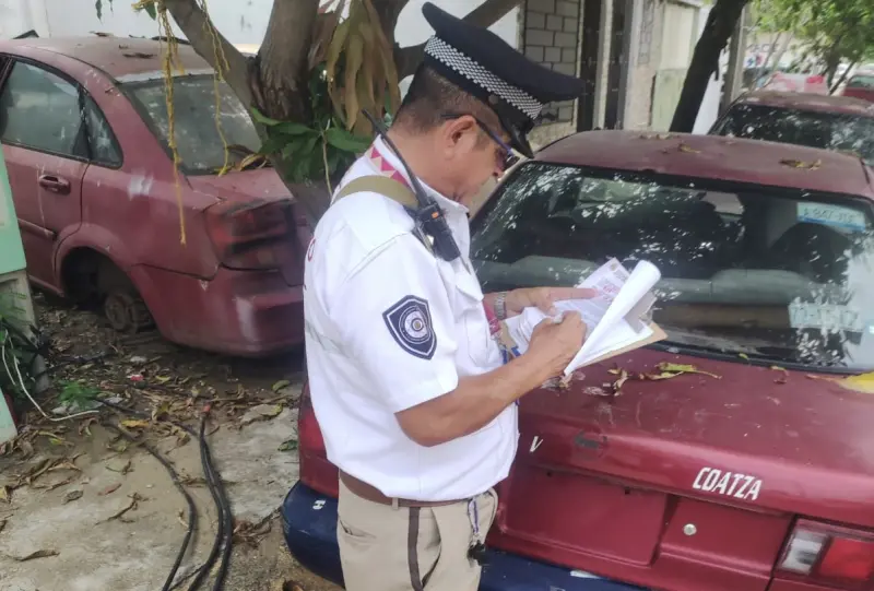Avanza operativo Vehículos Maceta en Coatzacoalcos