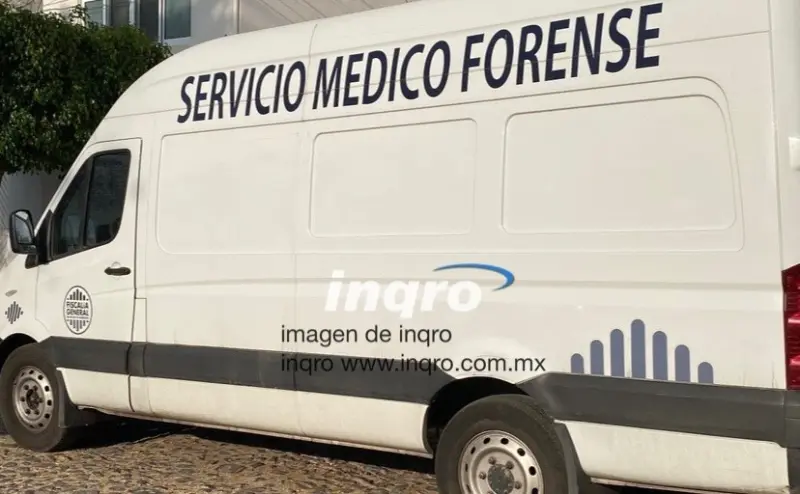 Menor perdió la vía al caer de un caballo en Lourdes