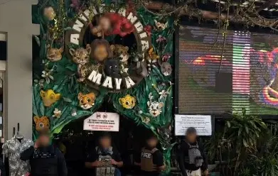 Cae Animalandia por exhibición ilegal en Quinta Avenida