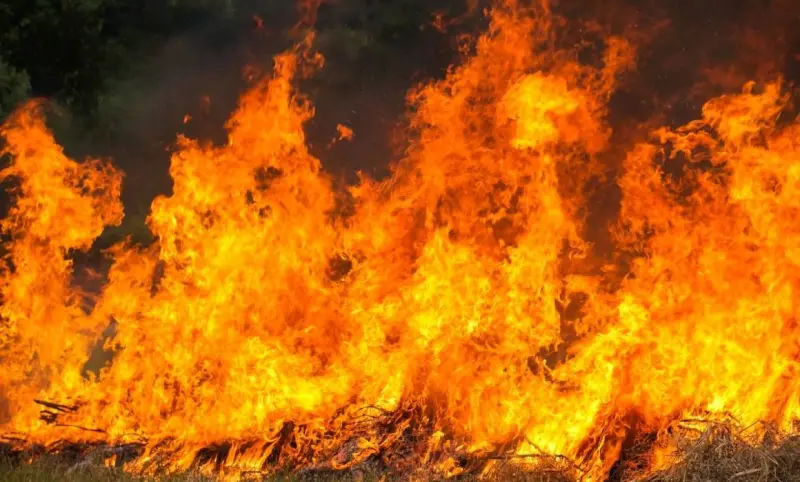 Se movilizan bomberos de Morelia ante incendio de pastizal en La Huerta