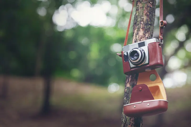 Las impactantes imágenes del GDT Nature Photographer of the Year 2026