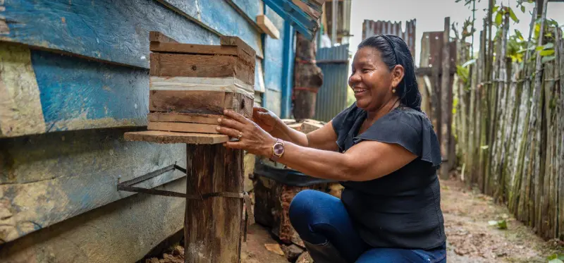 Día Mundial de las Abejas: tres iniciativas de mujeres indígenas para proteger a estos polinizadores en Latinoamérica