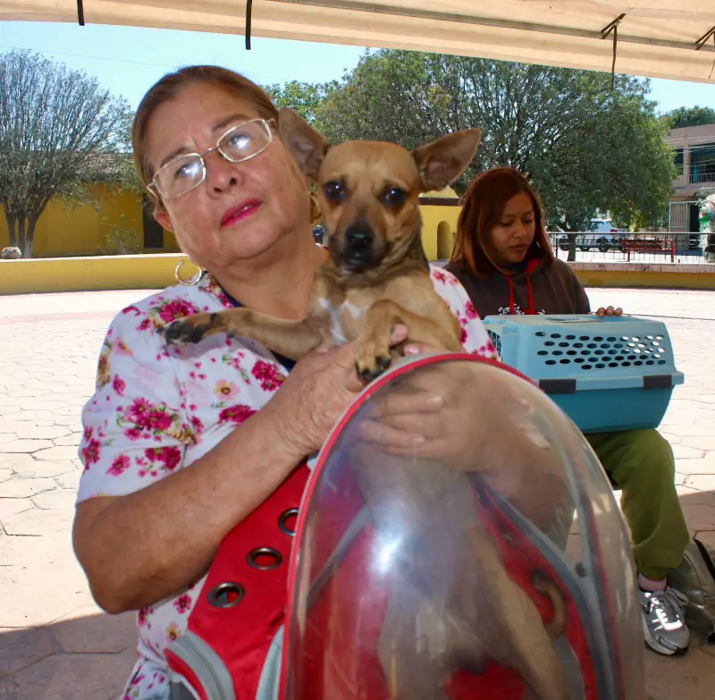 Anuncian jornada de esterilización gratuita para perros y gatos en Ramos Arizpe