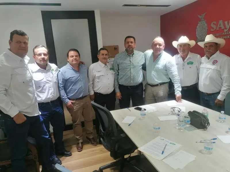 Productores mango del sur de Sinaloa piden al Gobierno un programa emergente ante caída en la producción