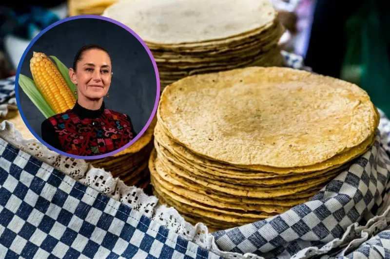 Claudia Sheinbaum lanza el programa “Comaleras Bienestar” para dotar de molinos y comales a mujeres rurales