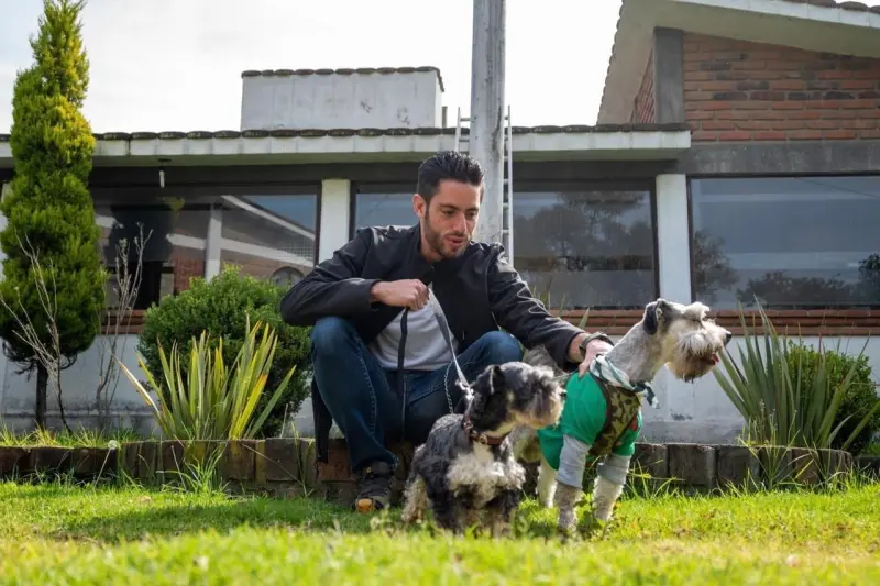 Edomex endurece sanciones por maltrato animal y aprueba penas de hasta nueve años de prisión
