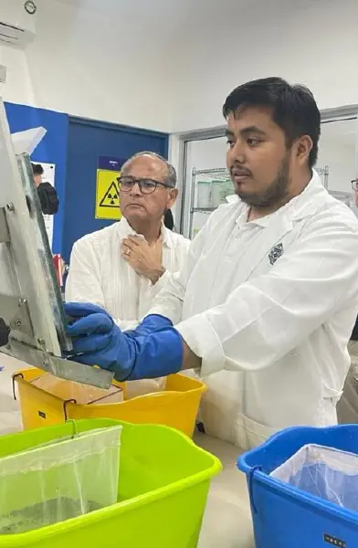 Plan con “mosquitos buenos” para prevenir dengue, zika y chikungunya