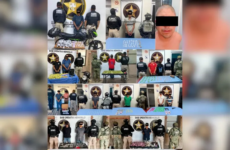 Cateos en Sonora: 15 detenidos, drogas y armas aseguradas en Hermosillo, Cajeme, Navojoa y Magdalena de Kino