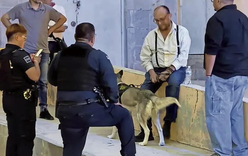 De servicio, husky que mordió a menor
