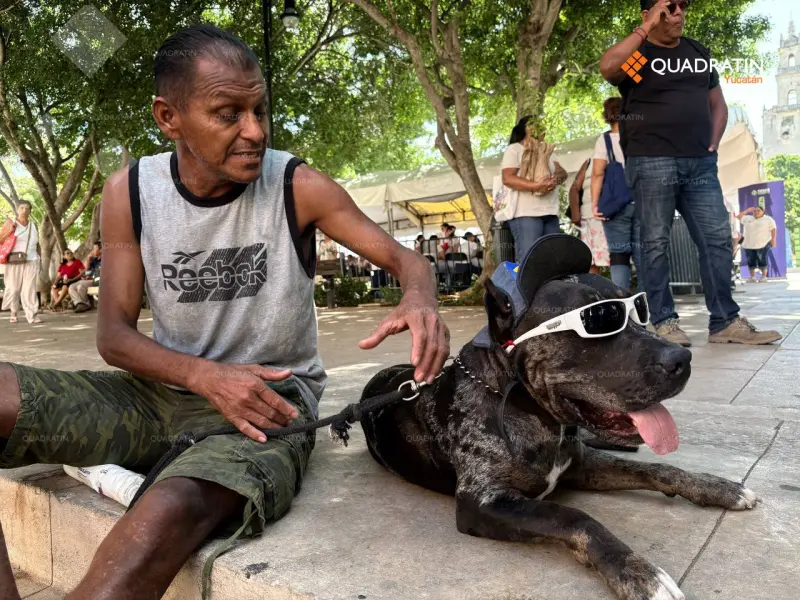 Entregan a Zeus tras polémico ataque en Mérida en Domingo