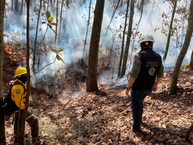 Calor pone en alerta a Huimilpan por riesgo de incendios