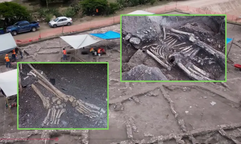 Arqueólogos del INAH descubren en Tula una tumba subterránea con ocho cuerpos en posición fetal durante el salvamento del Tren México-Querétaro, un hallazgo que revela cómo este complejo abastecía de cal a los palacios de Teotihuacan