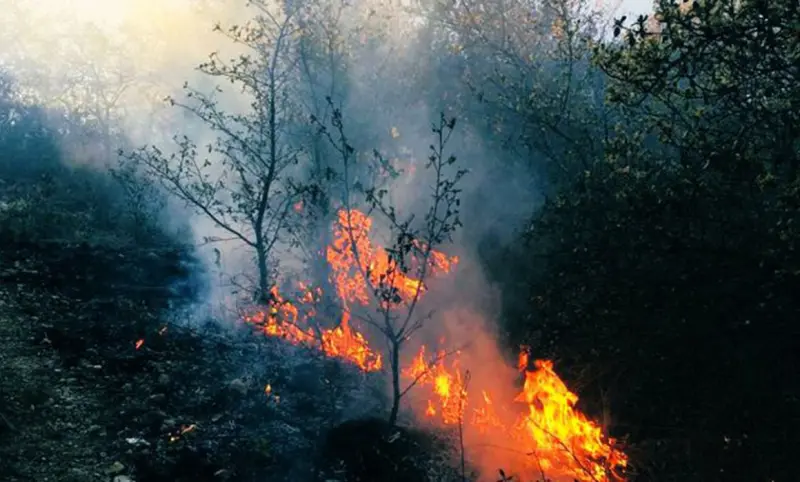 Exhorta Congreso a municipios a fortalecer combate a incendios