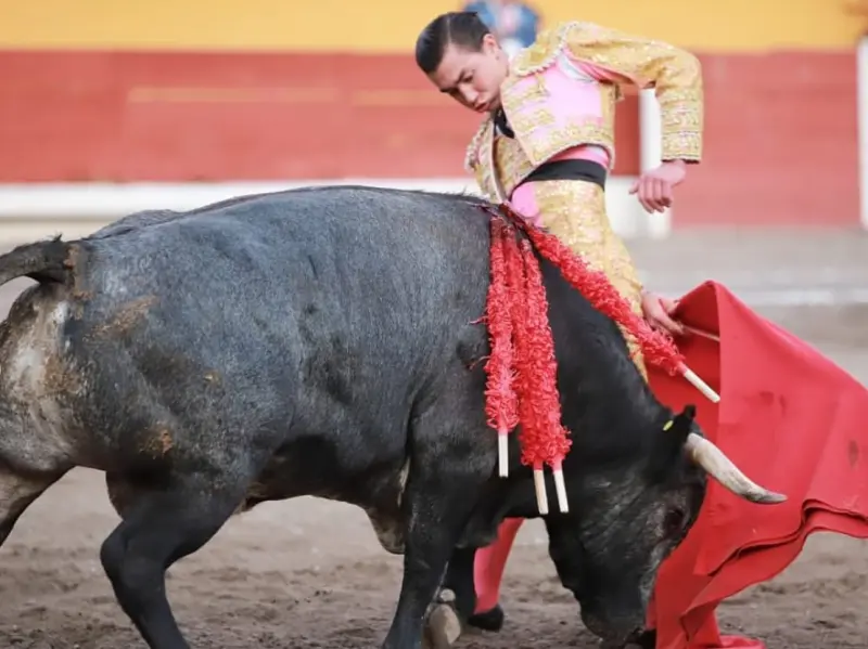 “¡Viva España y México!”: Bruno Aloi conquista Madrid con emotivo brindis al Rey Felipe VI