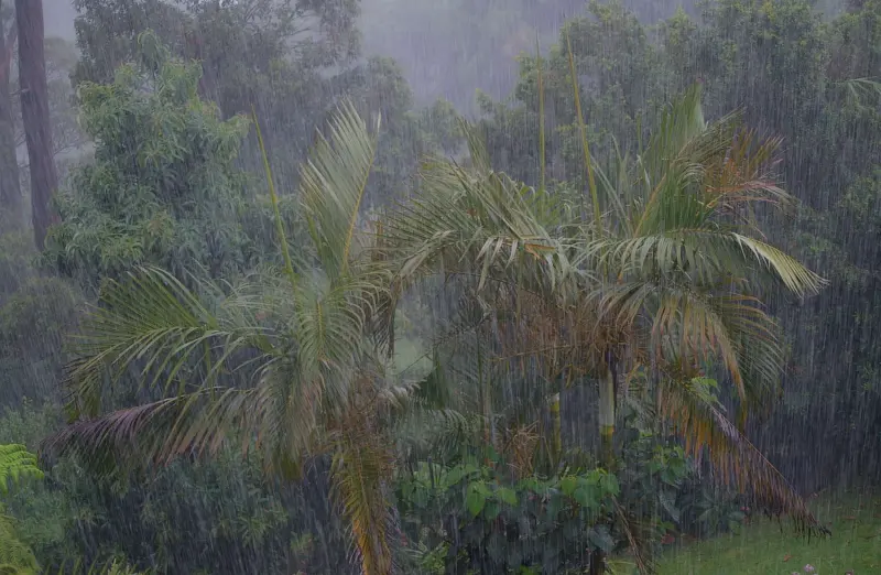 La paradoja de la lluvia: por qué es tan difícil predecir el agua en un mundo más cálido