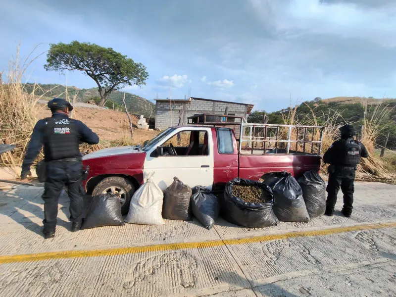 Decomisan 100 kilos de marihuana y una camioneta en Olinala?, Guerrero