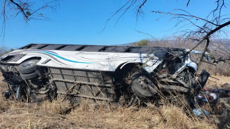 Al menos 11 personas murieron en Nayarit tras salirse un autobús de la carretera
