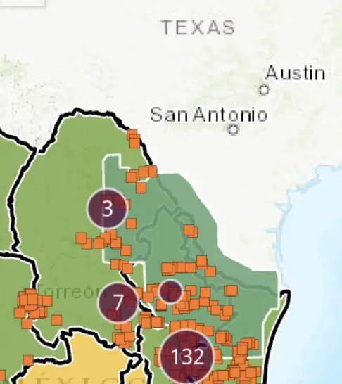 Gusano barrenador se aproxima a Texas tras confirmarse caso en San Juan de Sabinas