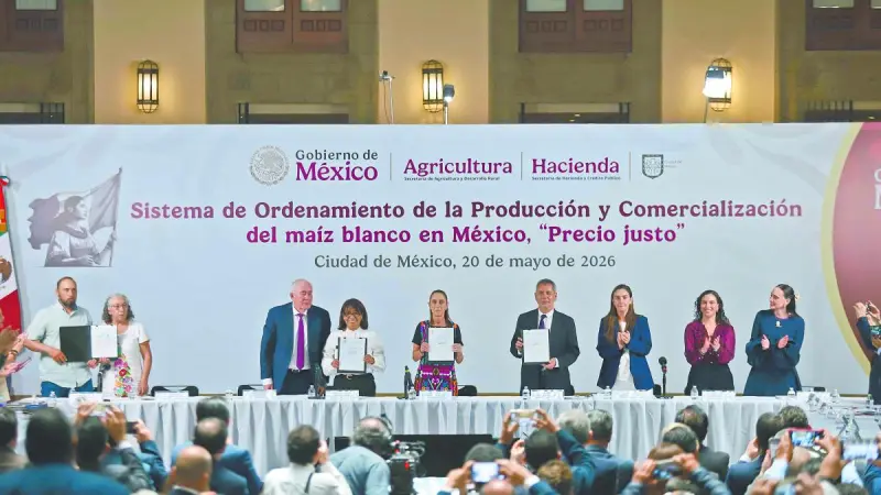 Pactan plan para garantizar precio del maíz blanco