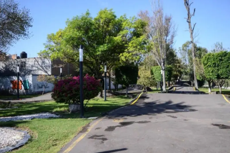 Abrirán foro ciudadano en Querétaro para manejo de Los Alcanfores