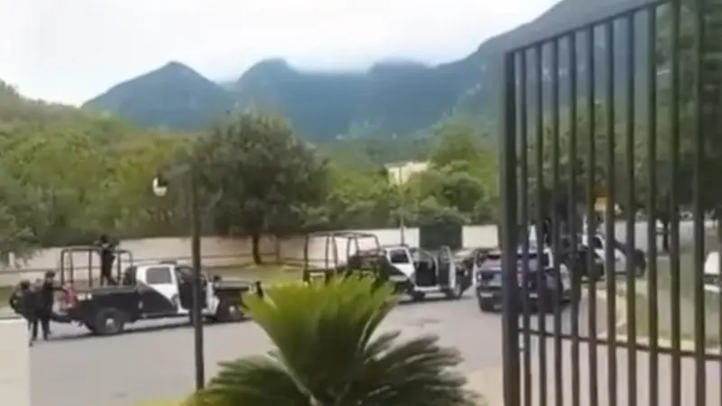 Fuerza Civil y vecinos logran que mamá osa y sus crías crucen en Sierra Alta