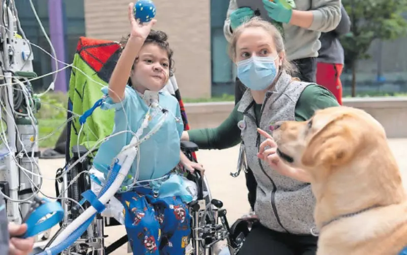 Más hospitales infantiles recurren a perros de terapia