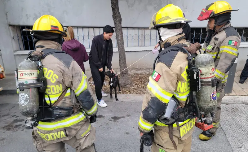 Controlan incendio en veterinaria de San Pedro
