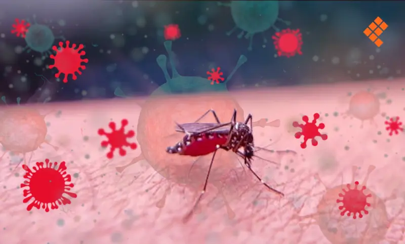 Refuerzan medidas contra el dengue ante primer caso en Querétaro