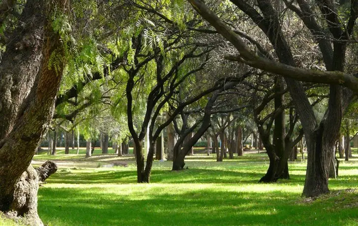Proponen urbanismo resiliente y ecológico para SLP
