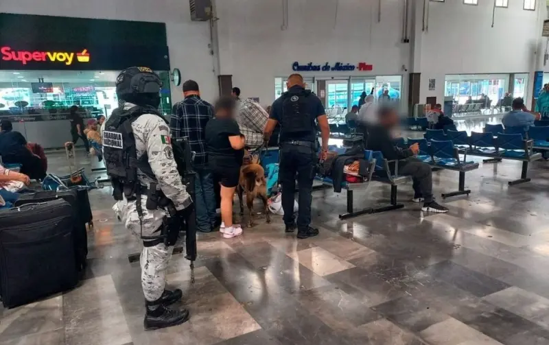 Realizan operativo K-9 en la Central Camionera